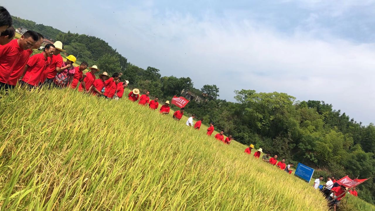 郴州市金土地化肥有限公司,湖南配方肥定點加工,林木肥銷售,有機肥質量